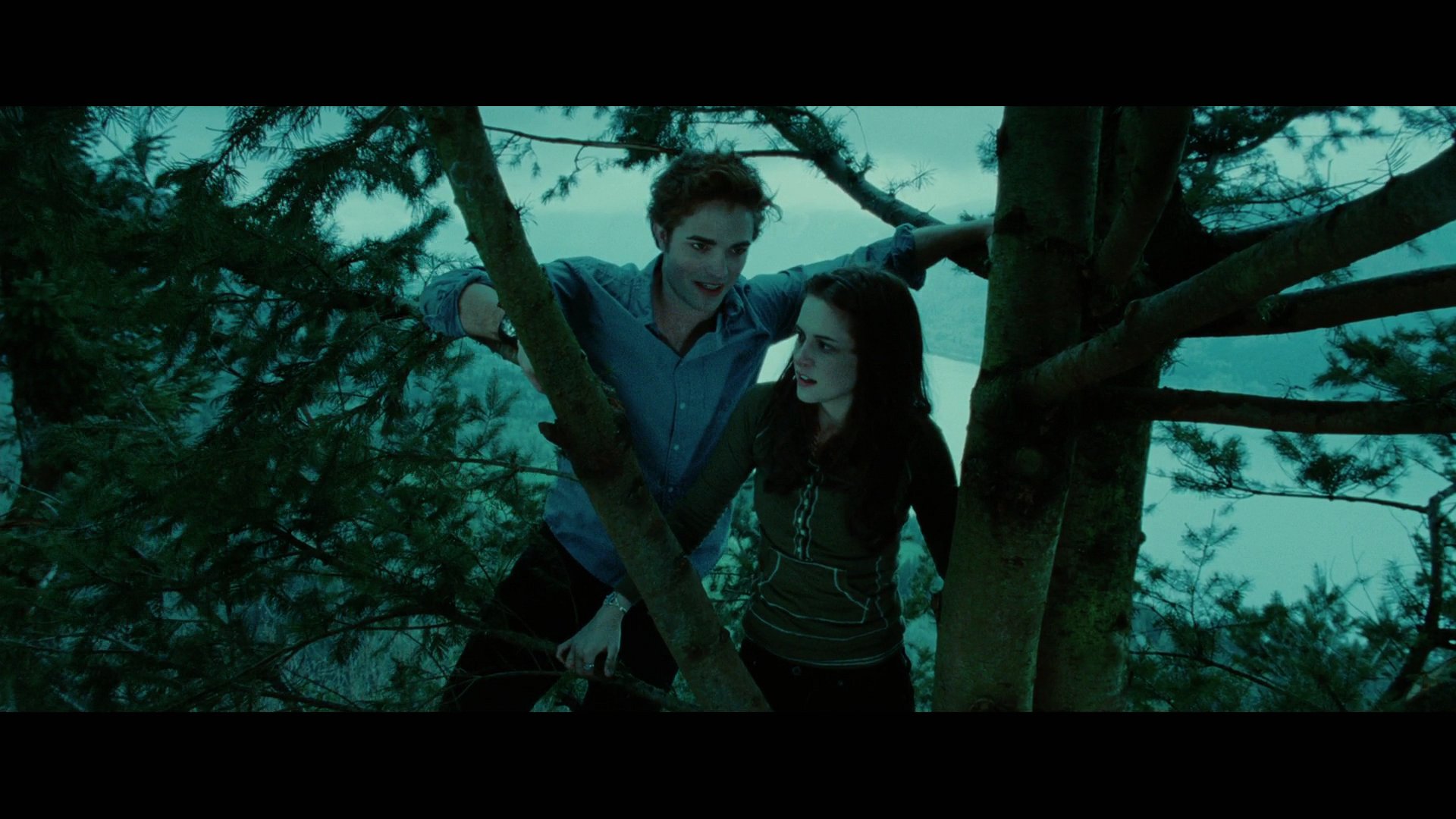 Twilight2249.jpg