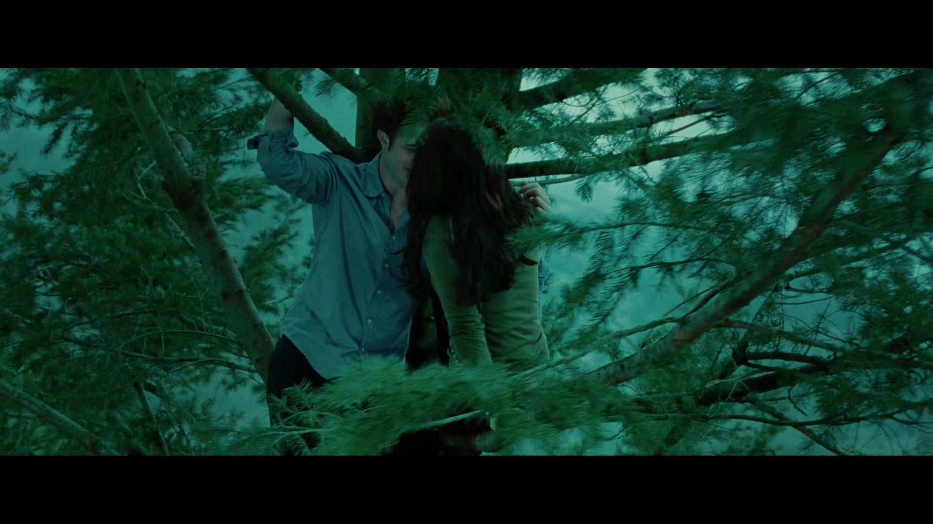 Twilight2257.jpg