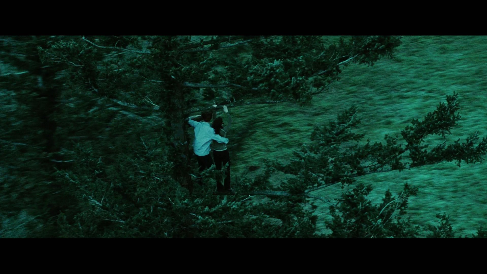Twilight2261.jpg