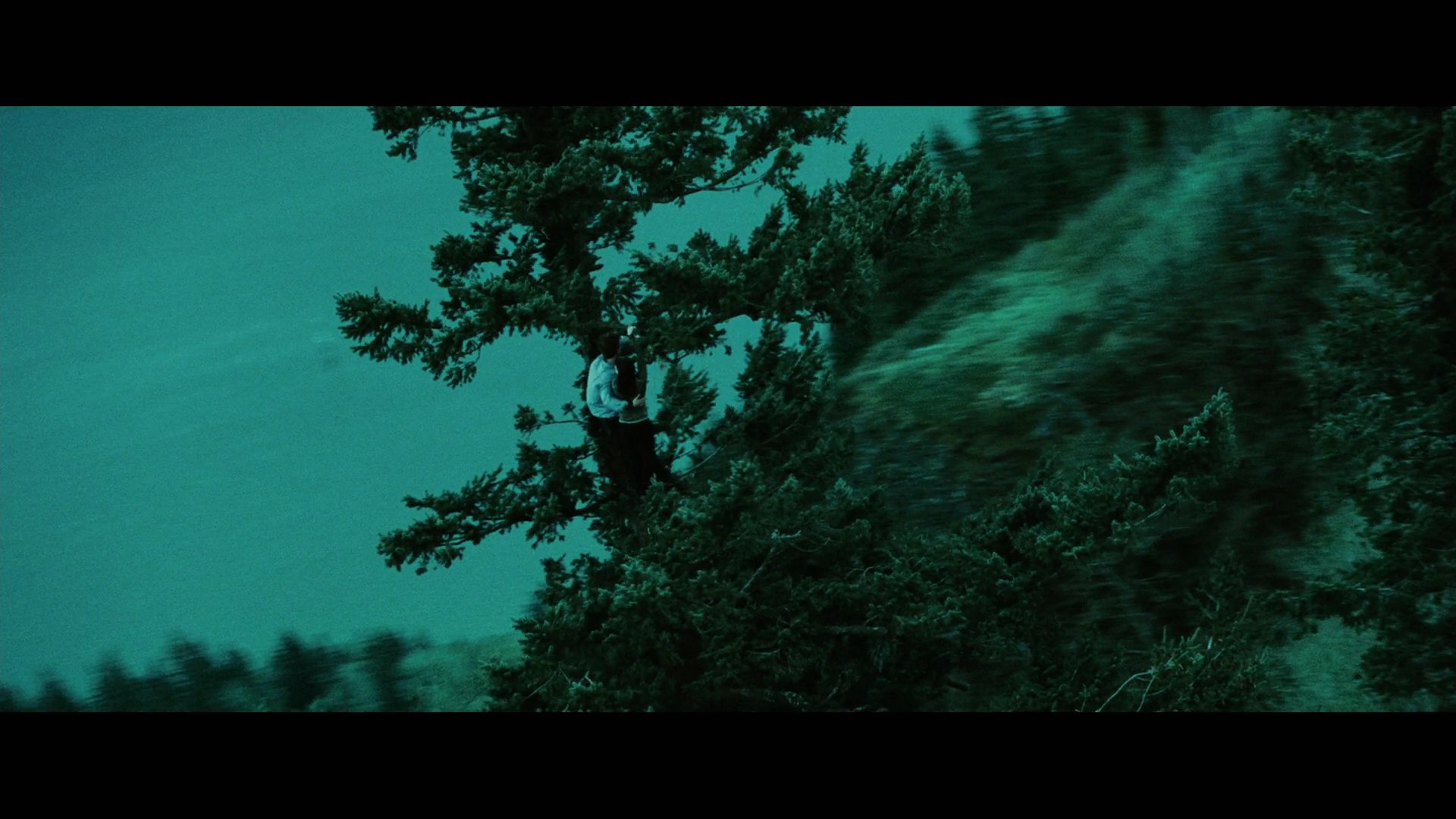 Twilight2262.jpg