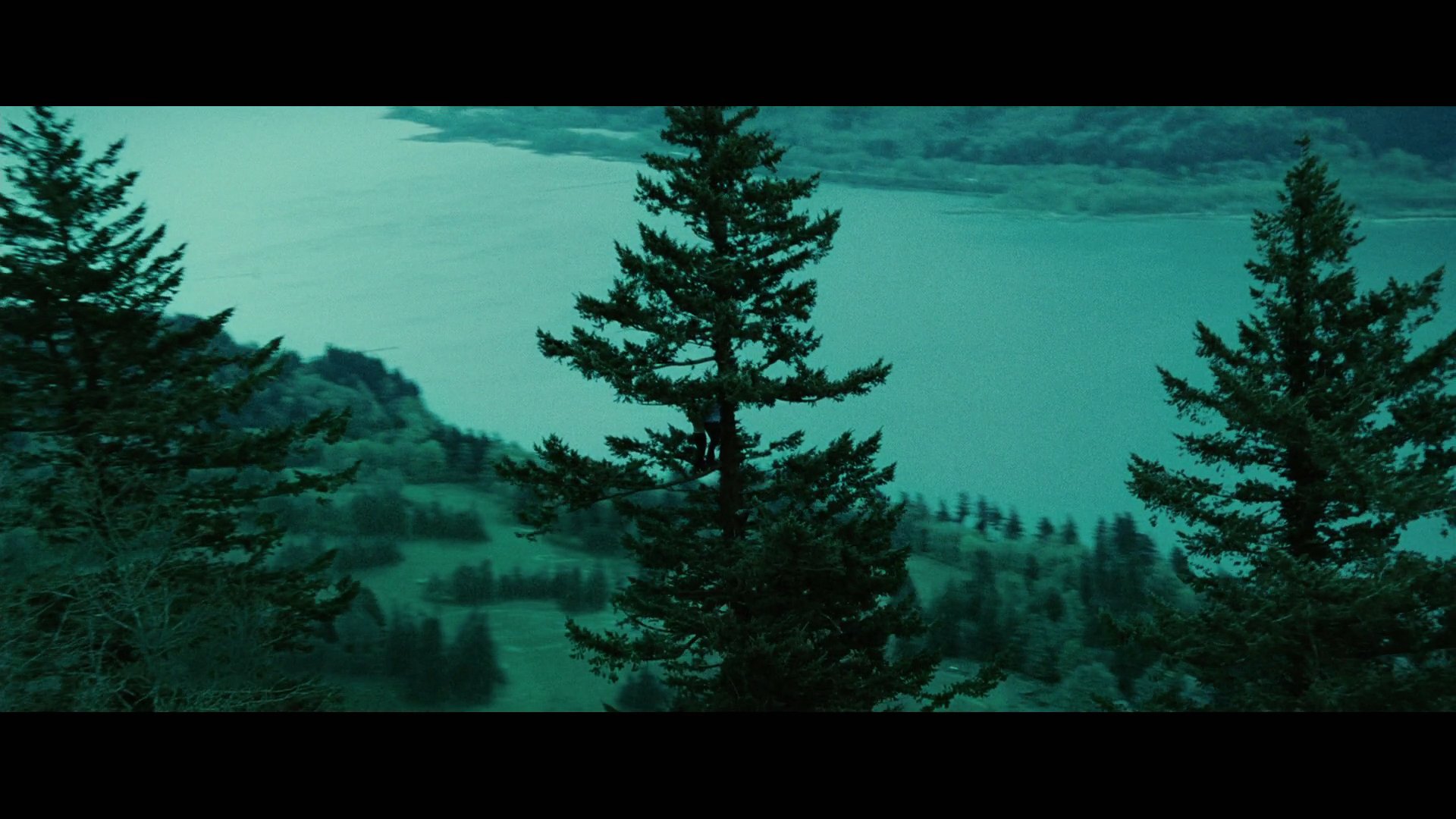 Twilight2263.jpg