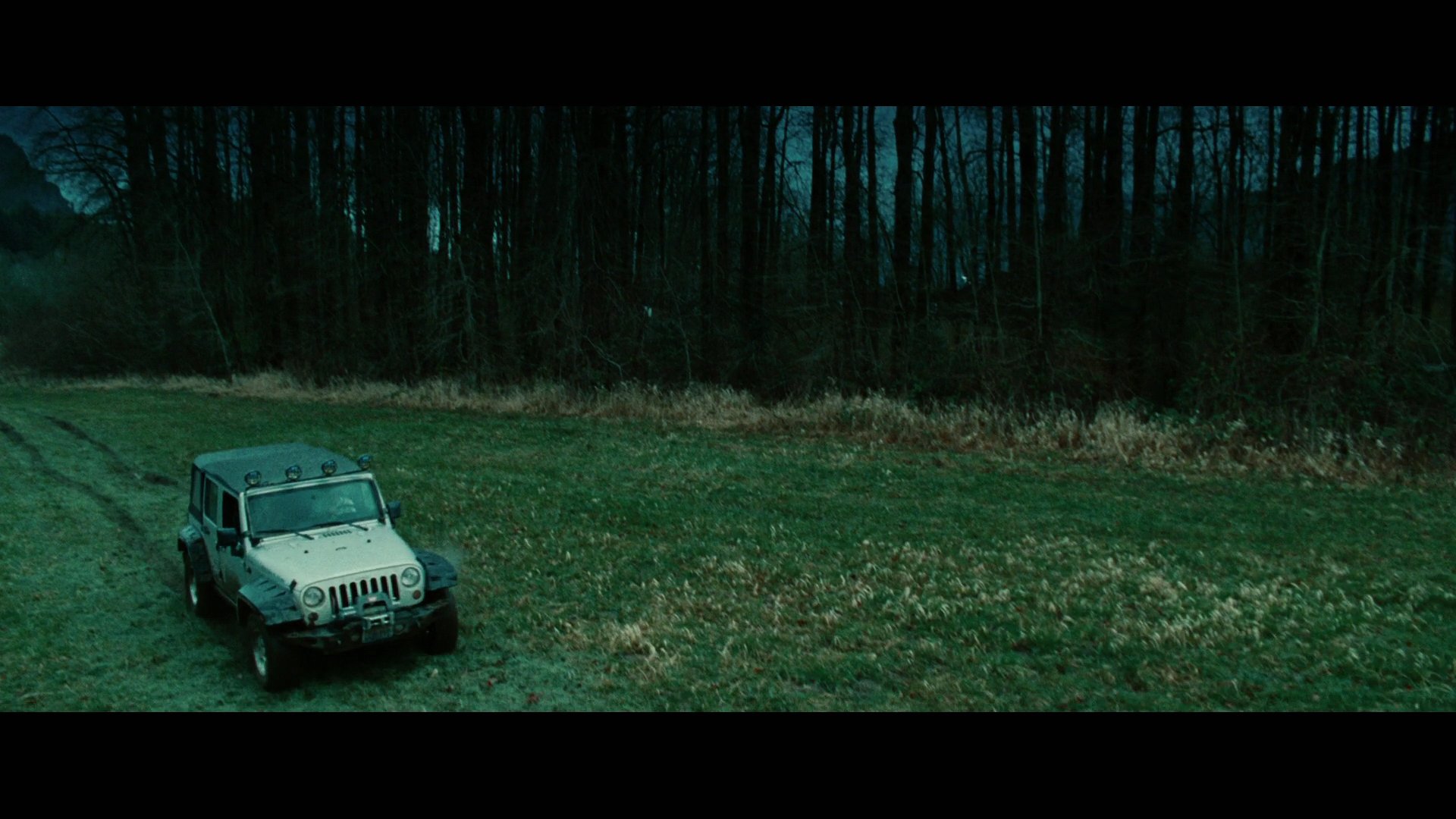 Twilight2510.jpg