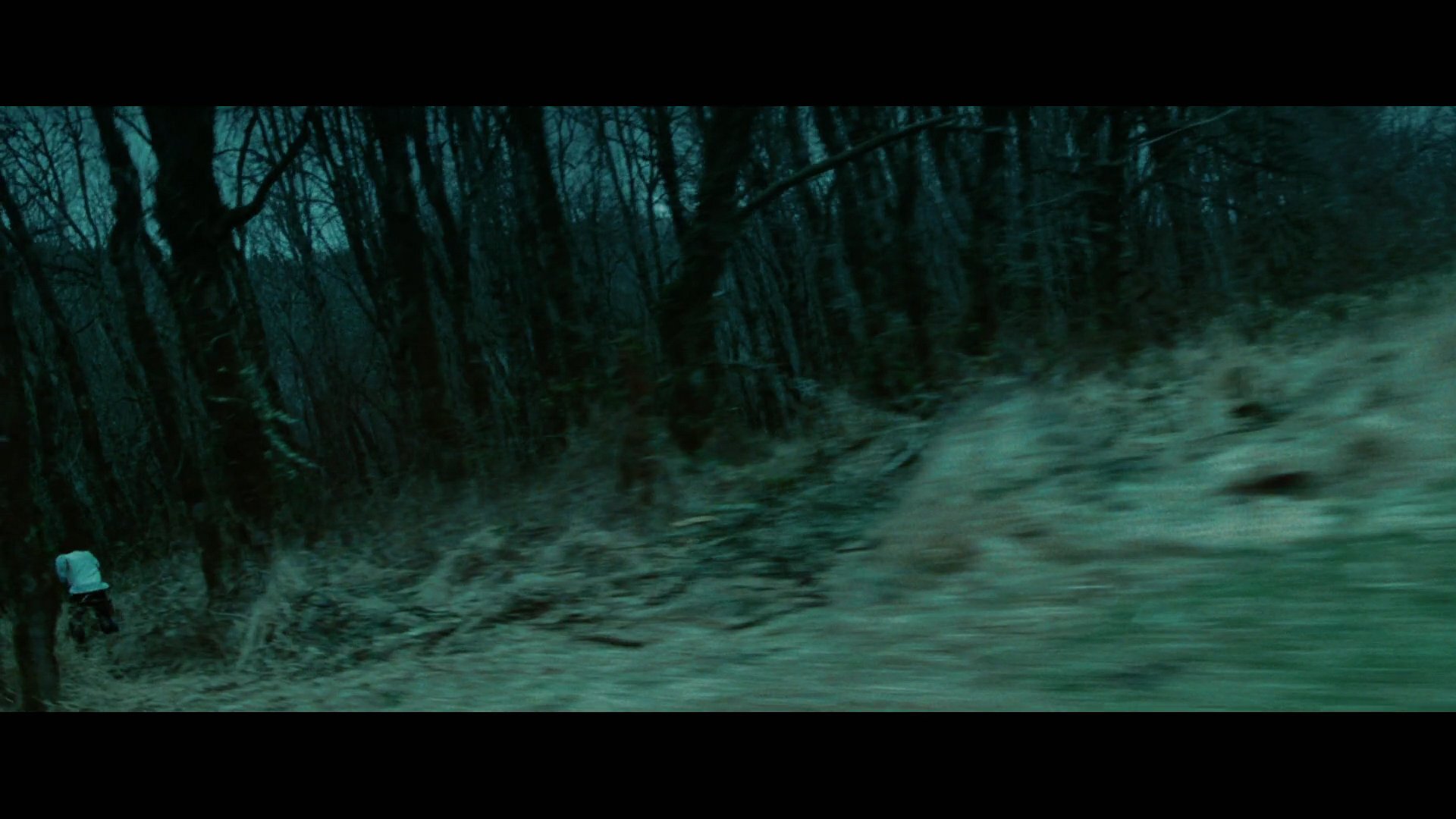 Twilight2537.jpg