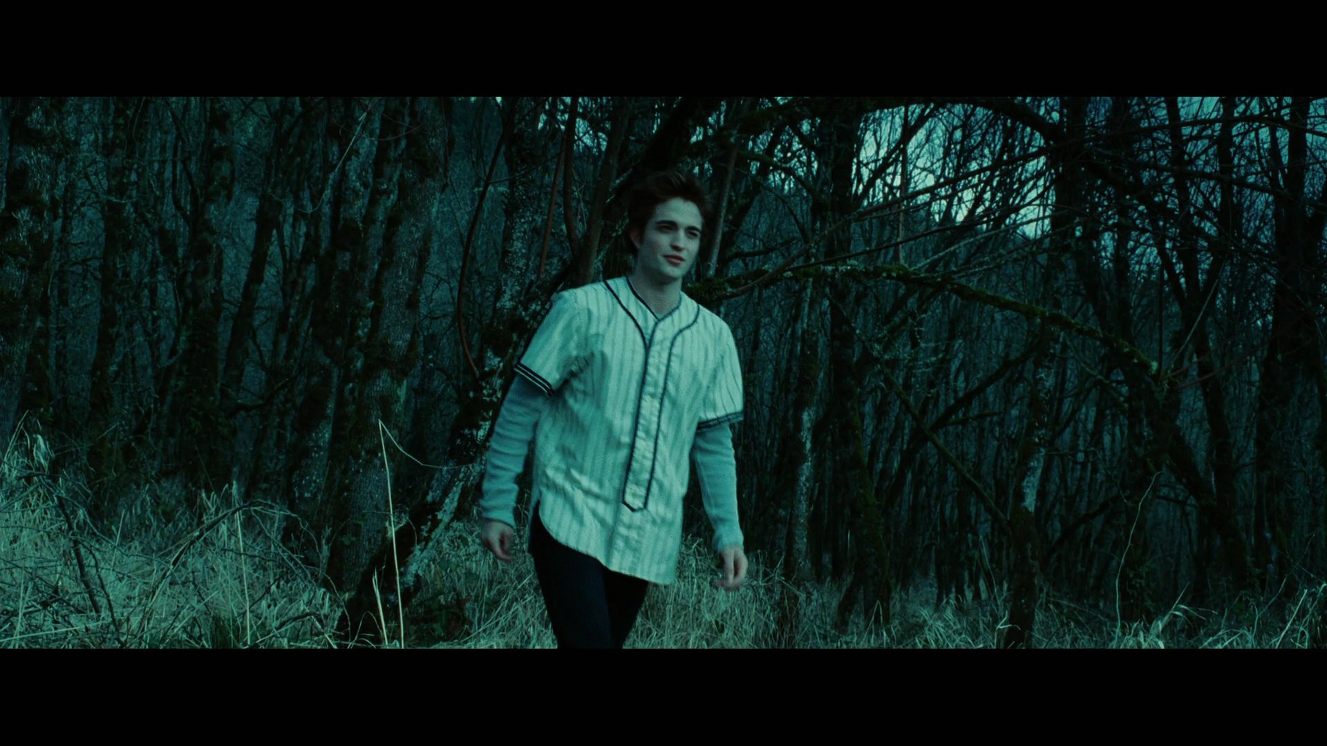 Twilight2558.jpg