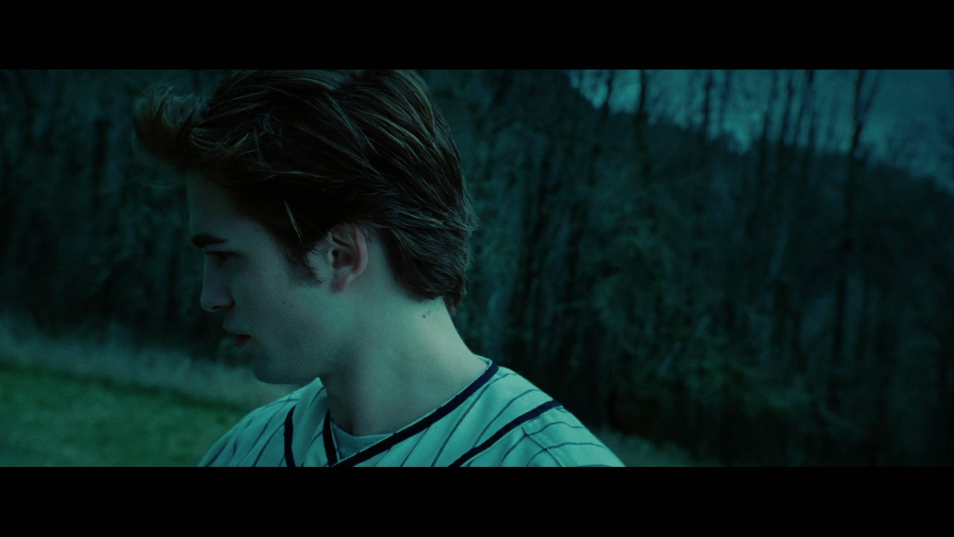 Twilight2598.jpg
