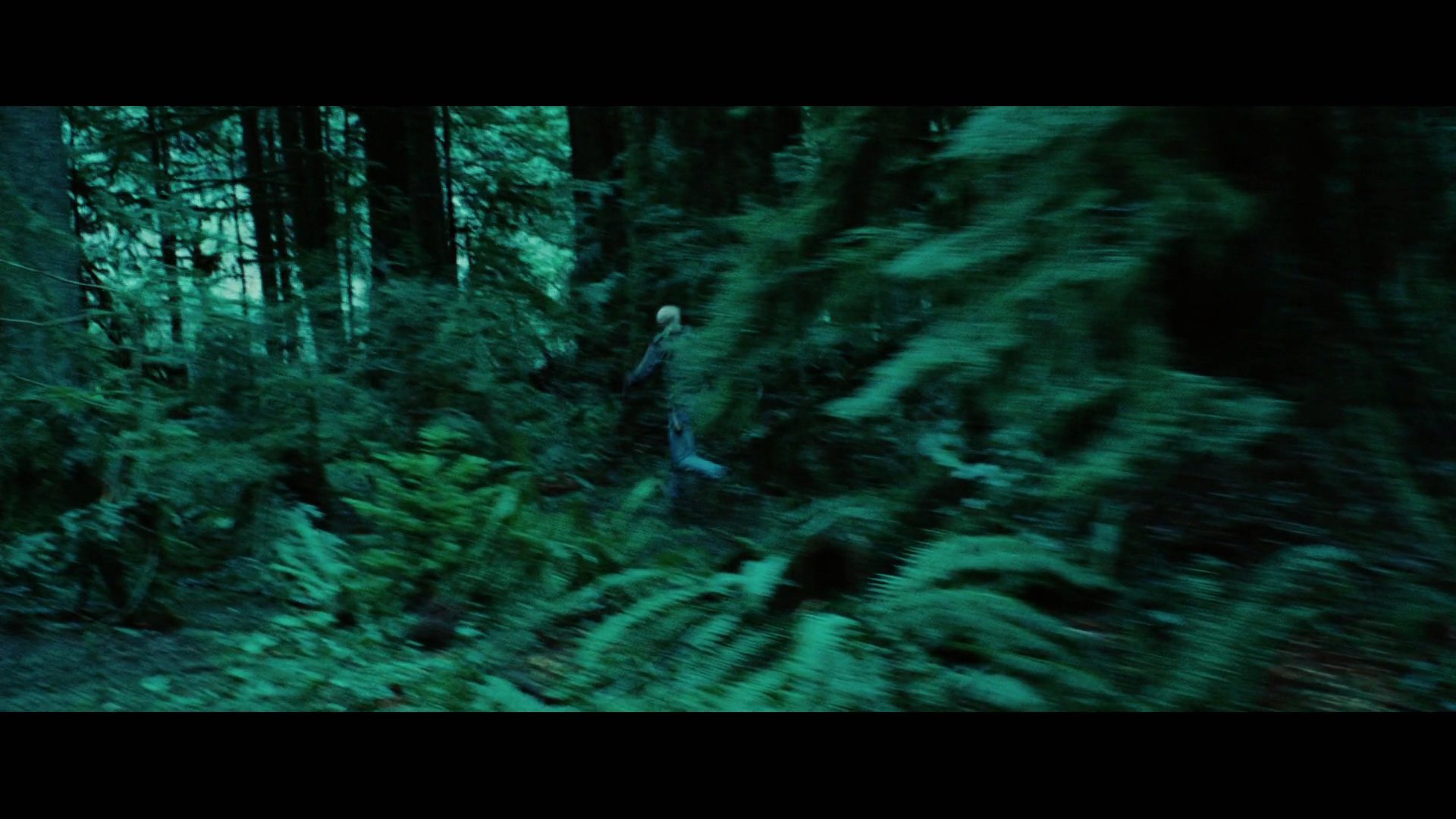 Twilight2930.jpg