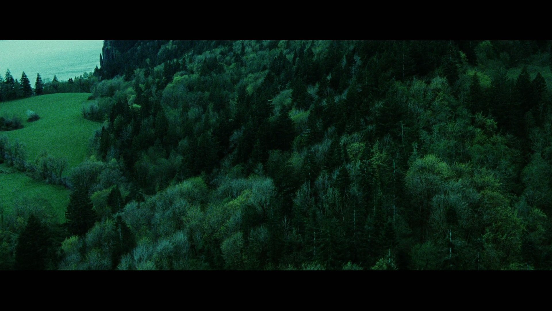 Twilight3433.jpg
