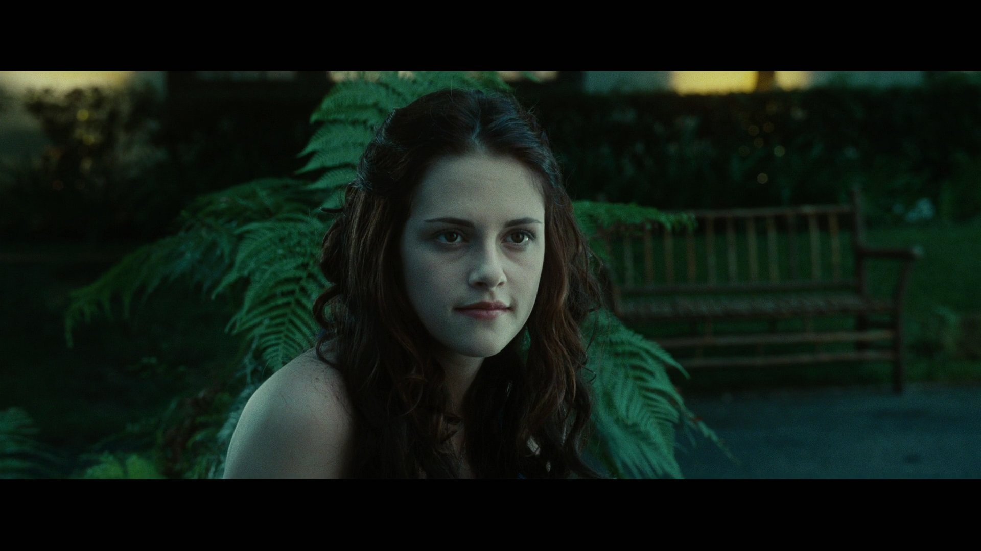 Twilight3483.jpg