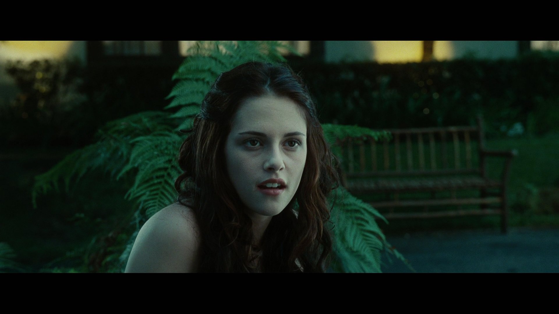 Twilight3484.jpg