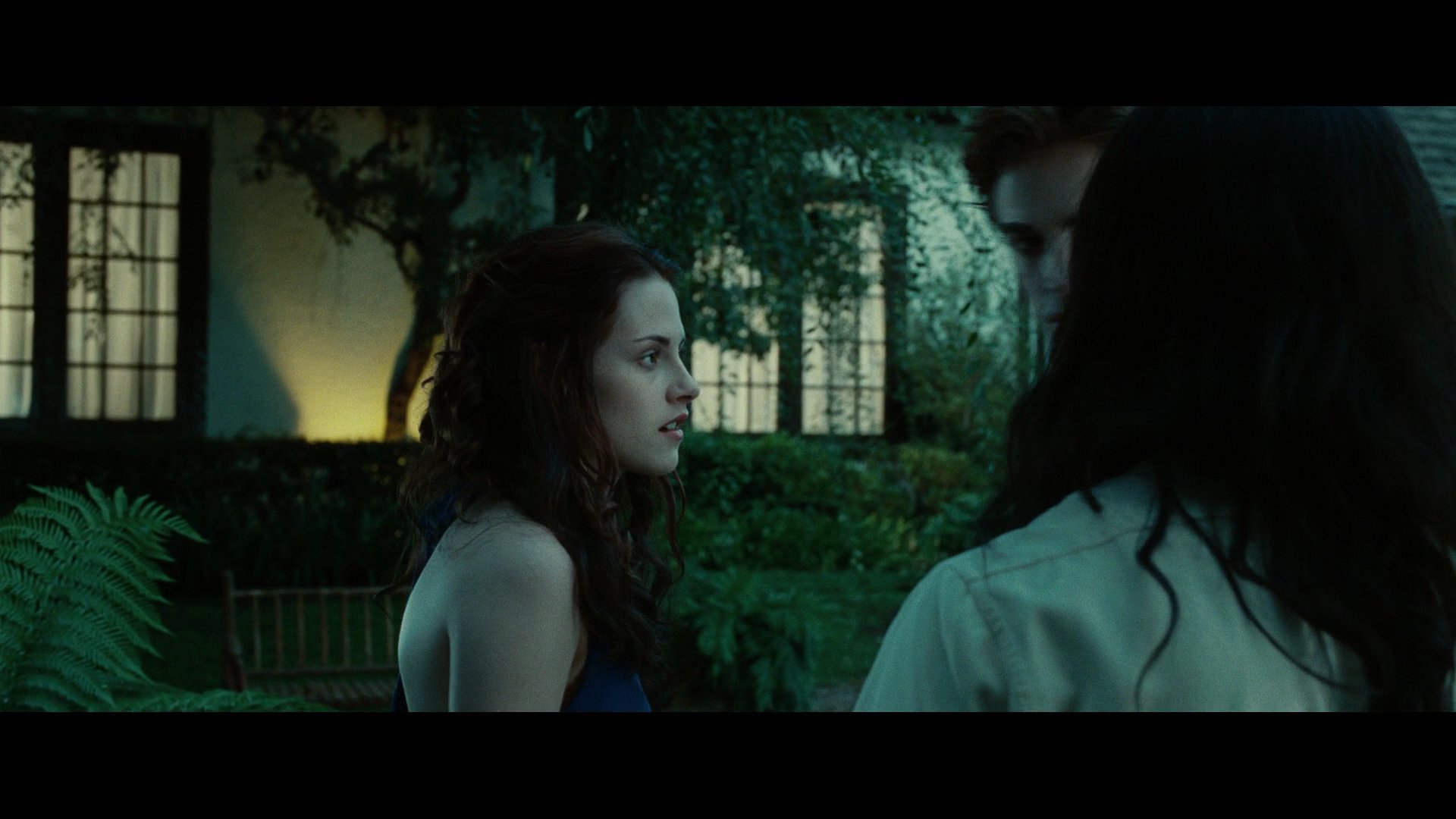 Twilight3510.jpg
