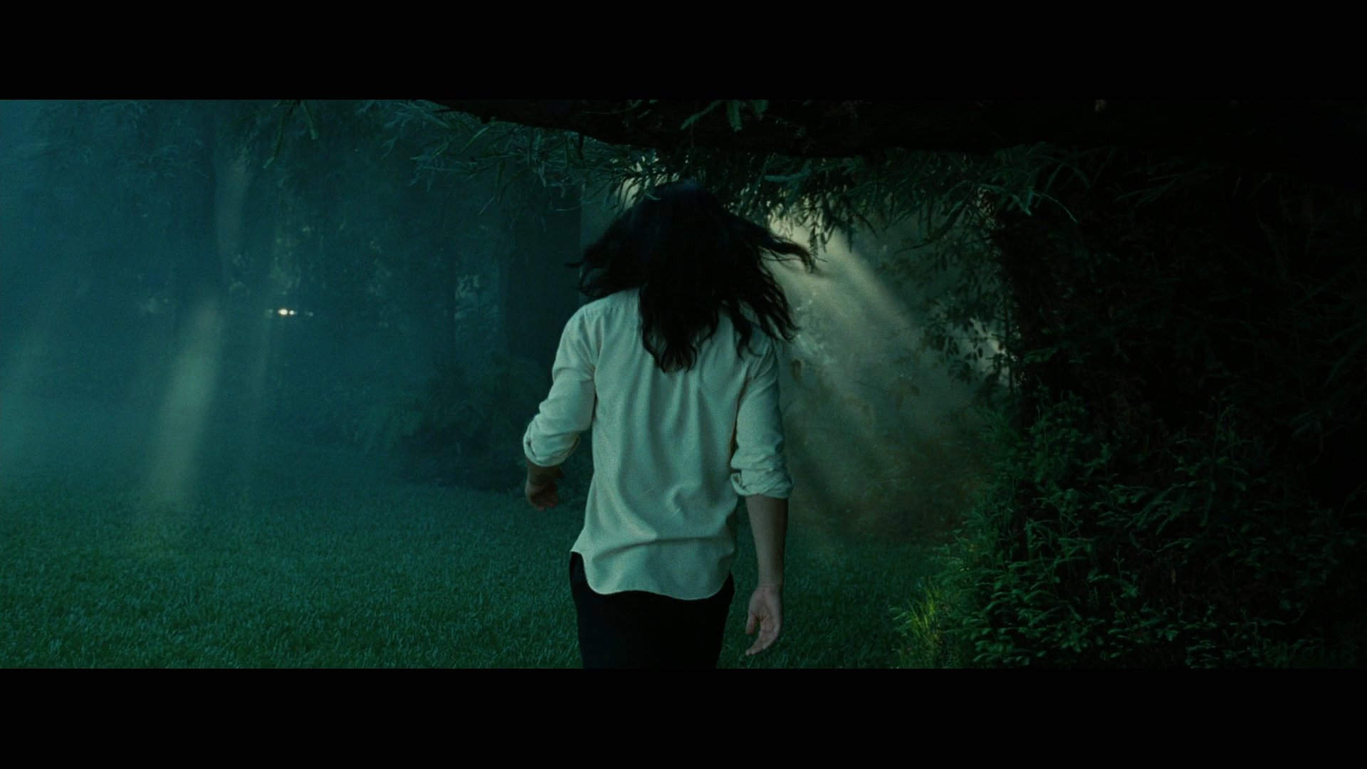 Twilight3523.jpg