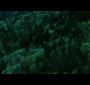 Twilight3433.jpg