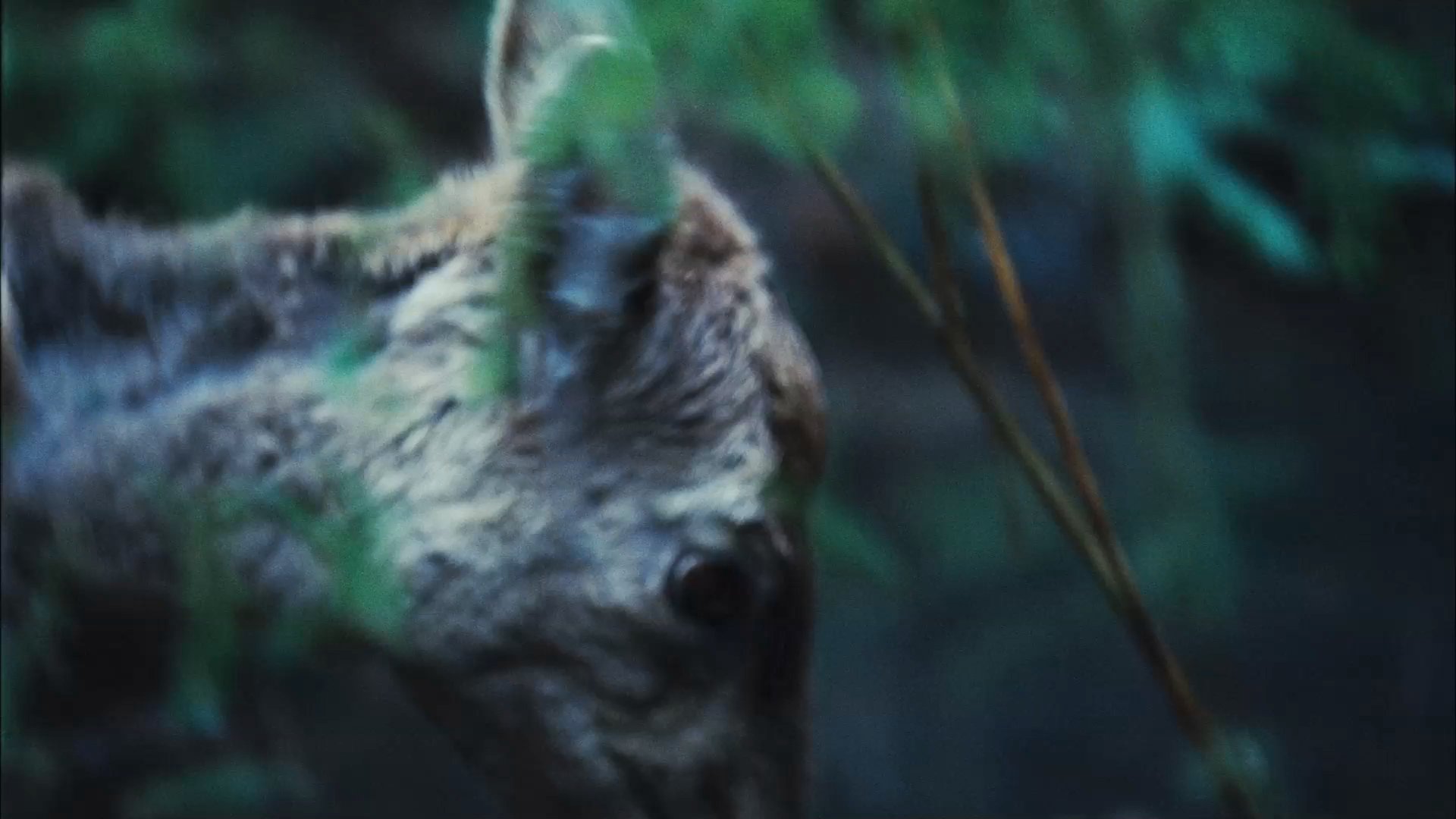Twilight_TVSpot0004.jpg