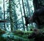Filename=Twilight_TVSpot0005.jpg
Filesize=268KiB
Dimensions=1920x1080
Date added=Jan 27, 2010 Twilight_TVSpot0005.jpg