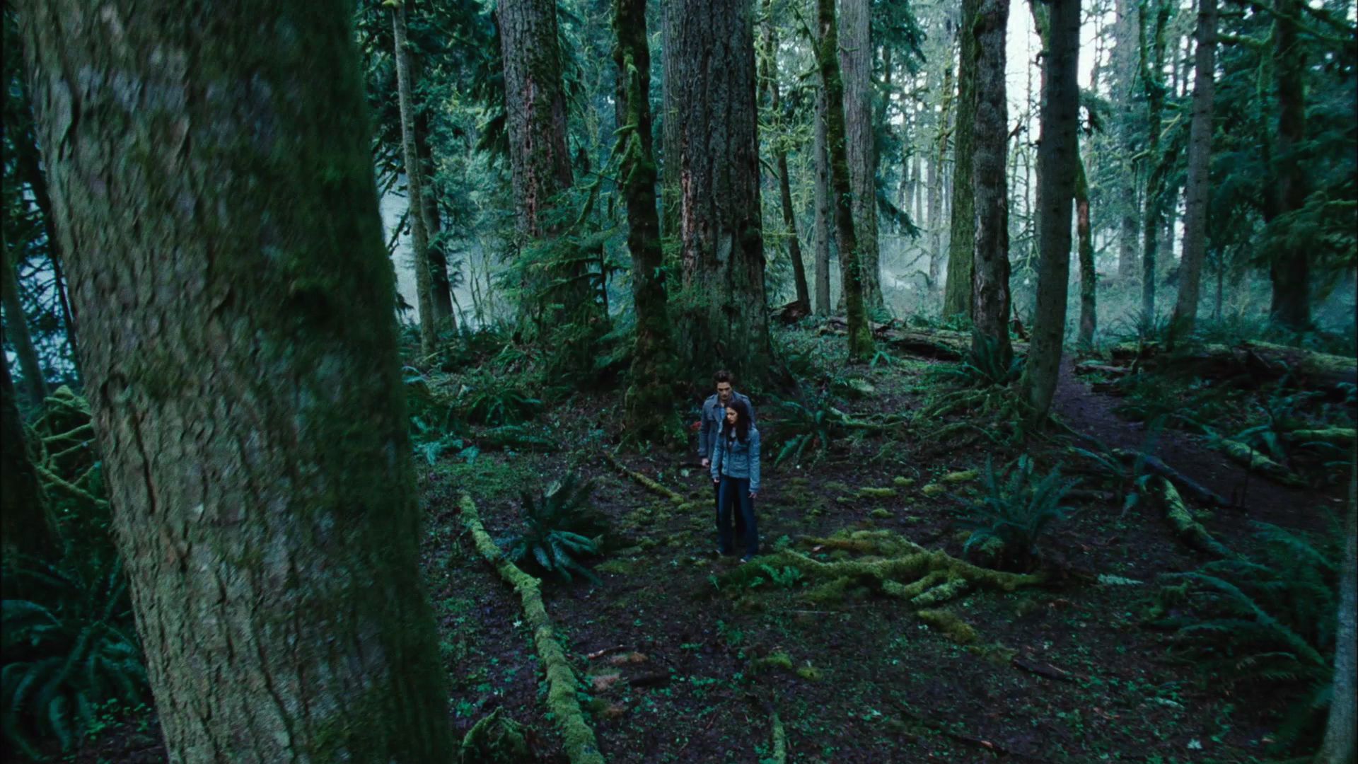 TwilightTeaser1_0001.jpg