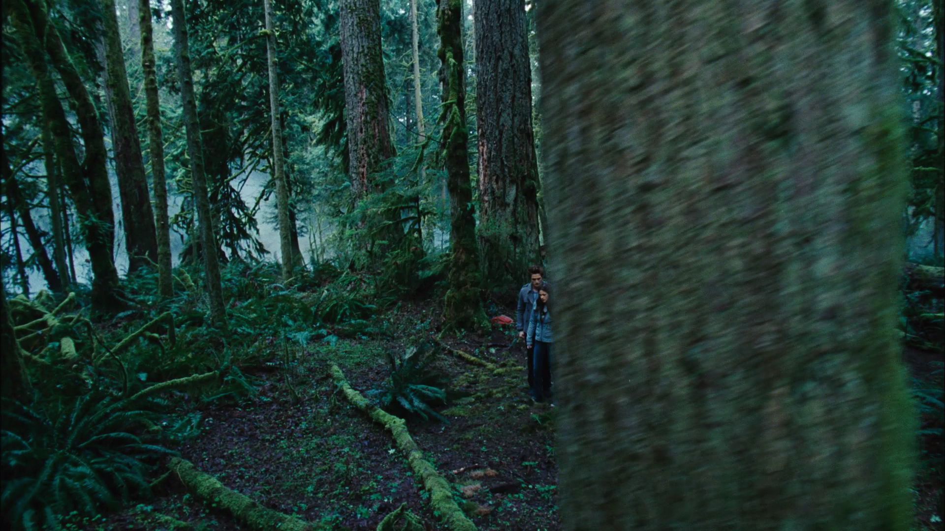 TwilightTeaser1_0003.jpg