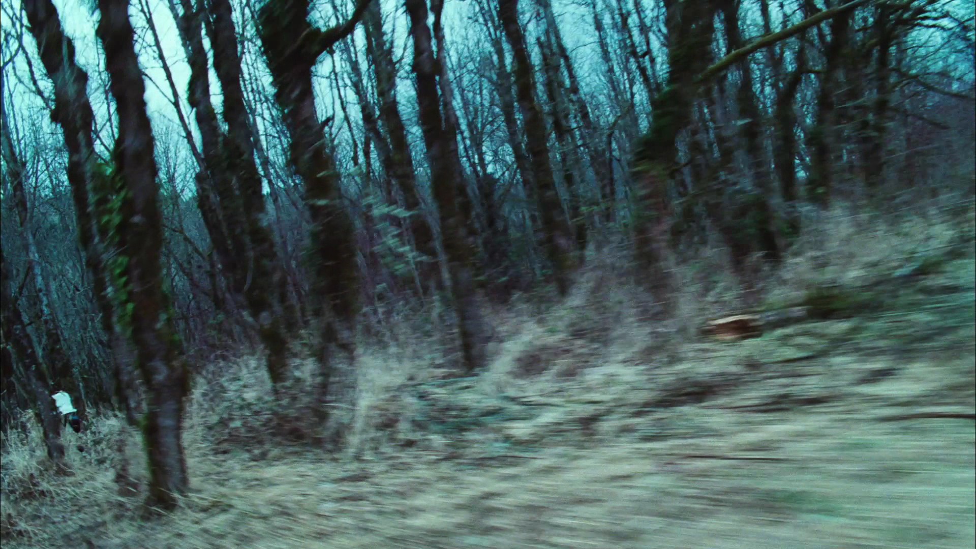 TwilightTeaser2_0007.jpg