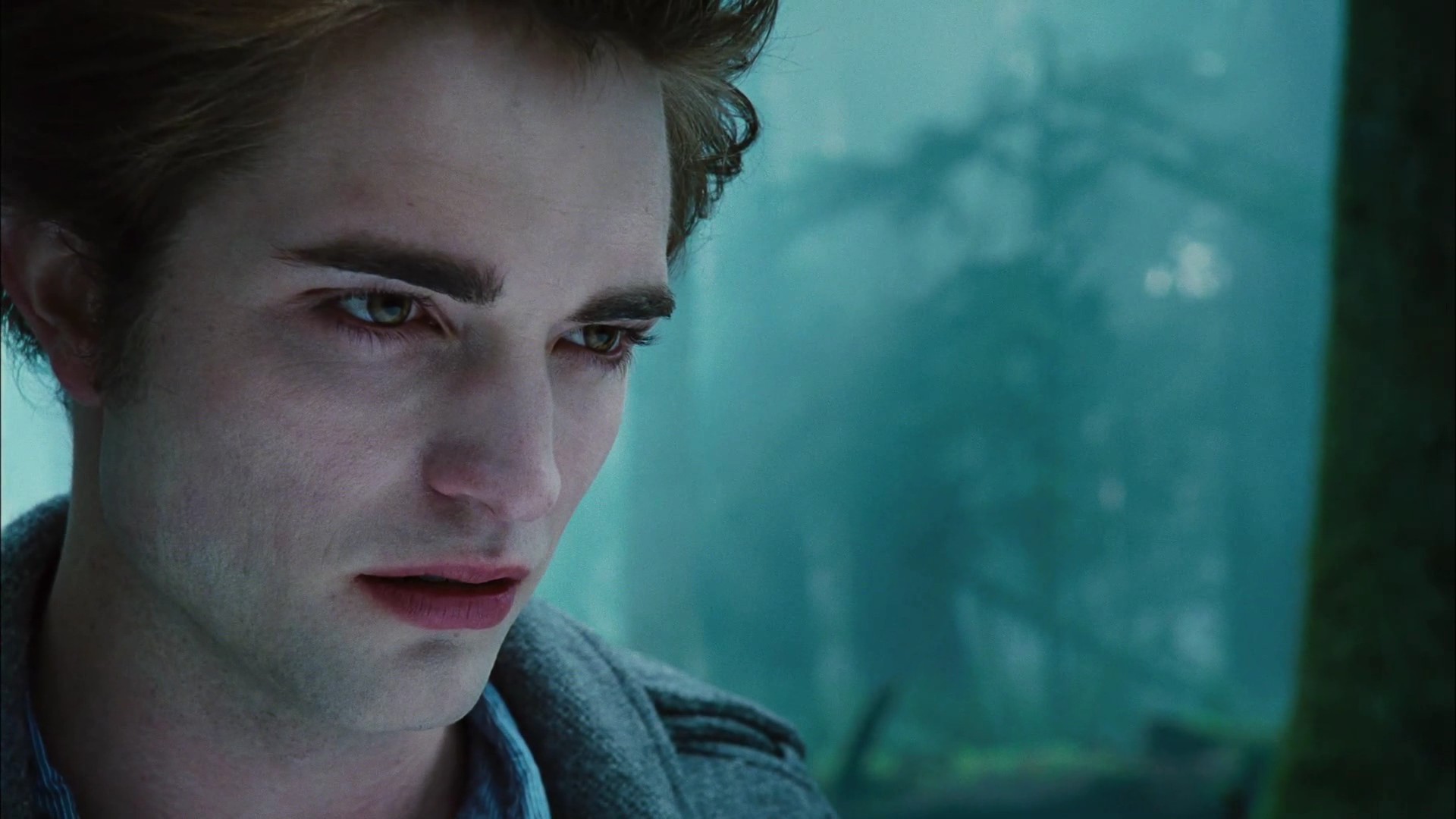 TwilightTeaser2_0029.jpg