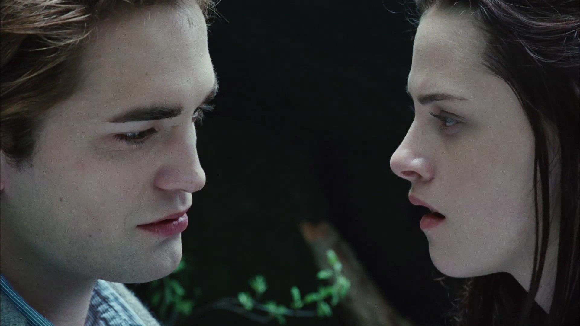 TwilightTeaser2_0030.jpg