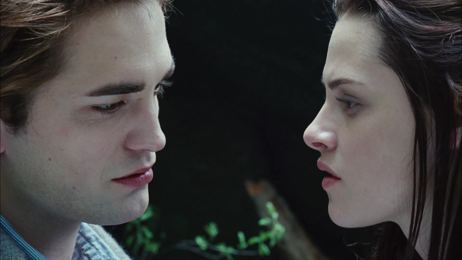 TwilightTeaser2_0031.jpg