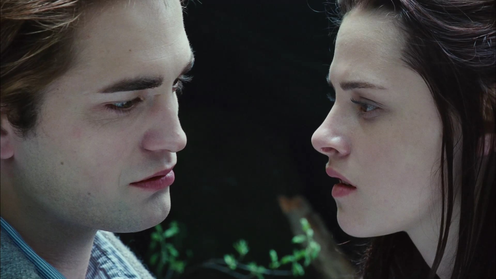 TwilightTeaser2_0032.jpg