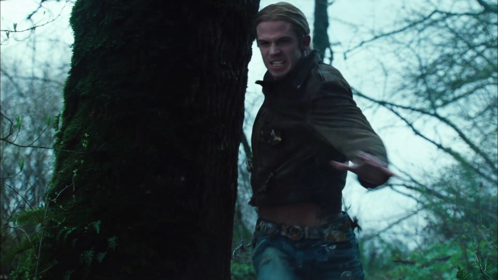 TwilightTeaser2_0072.jpg