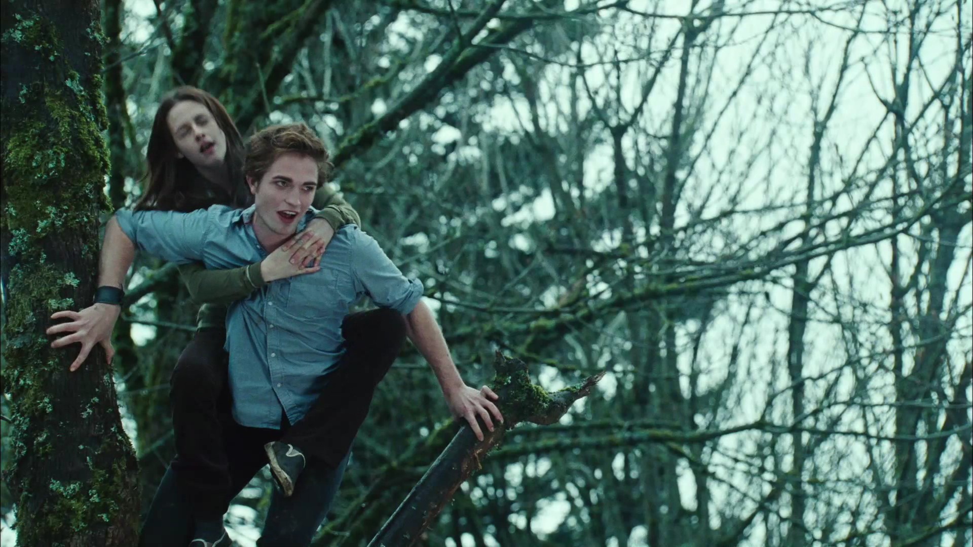 TwilightTeaser2_0081.jpg