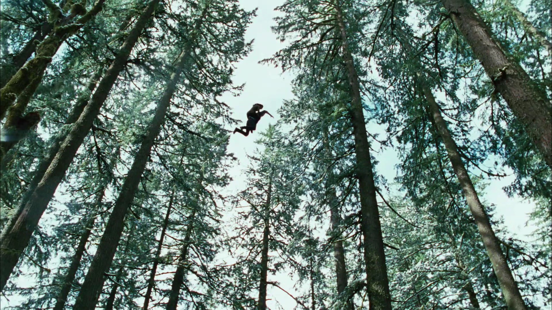 TwilightTeaser2_0082.jpg
