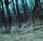 TwilightTeaser2_0007.jpg
