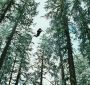 TwilightTeaser2_0082.jpg