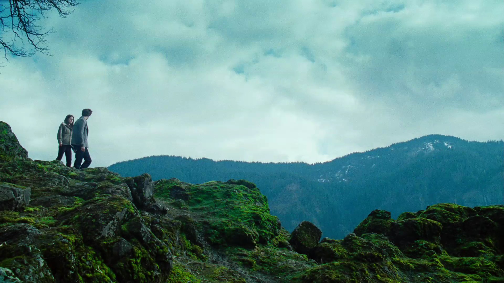 TwilightTrailer0035.jpg