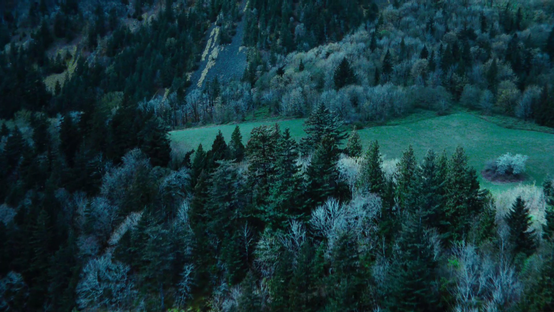 TwilightTrailer0041.jpg