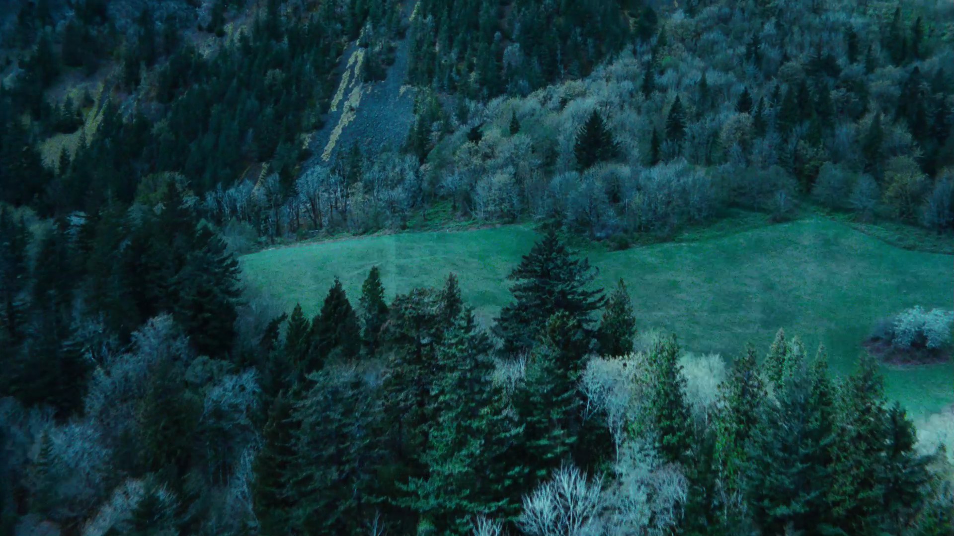 TwilightTrailer0042.jpg