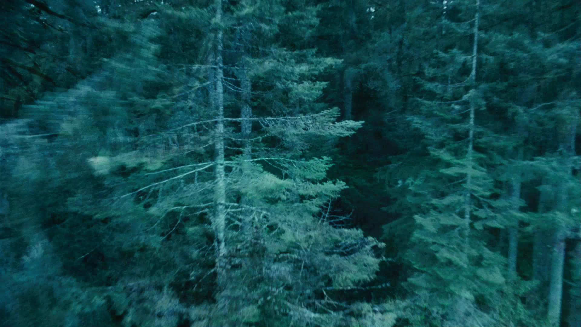 TwilightTrailer0043.jpg