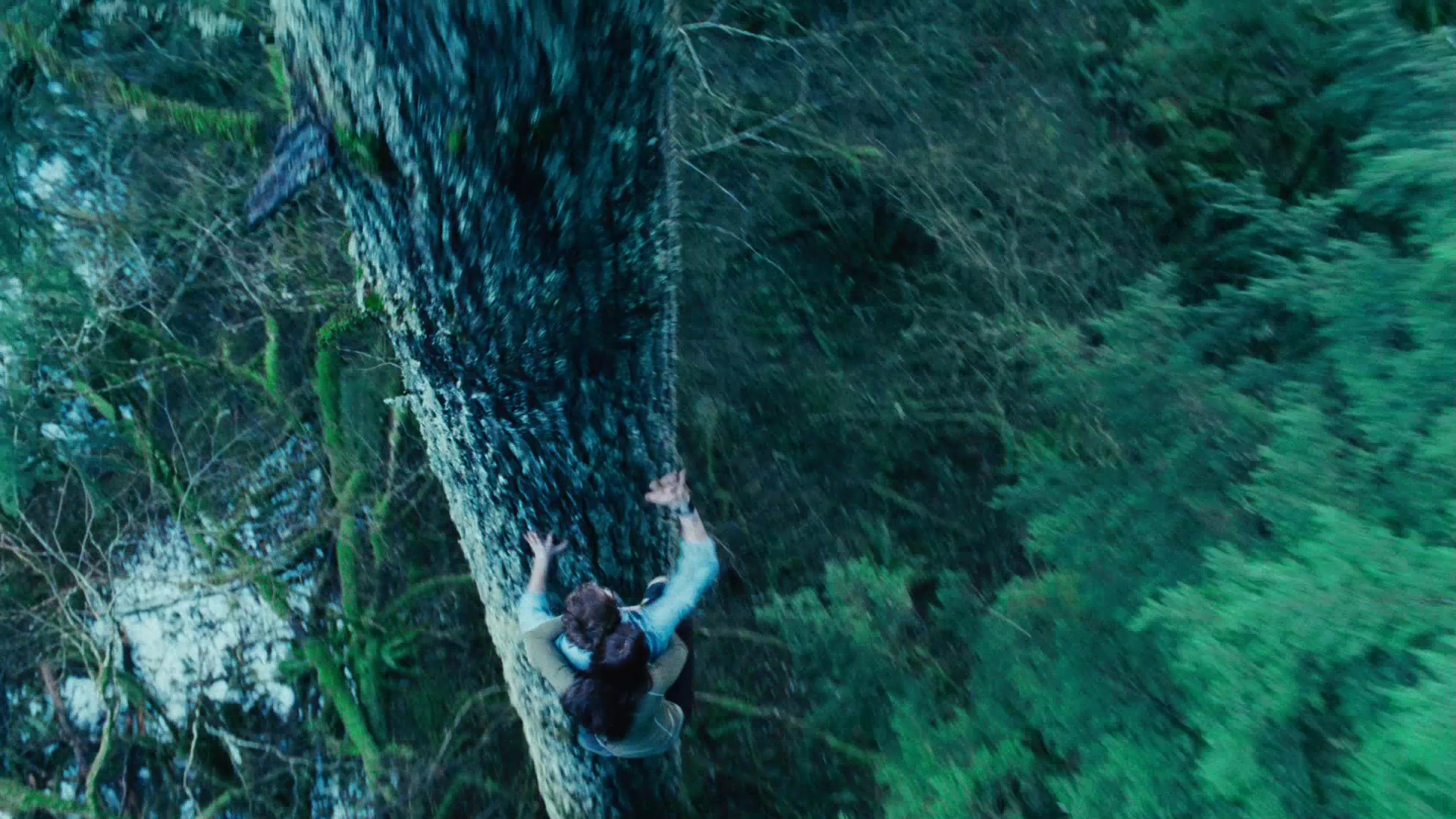 TwilightTrailer0045.jpg
