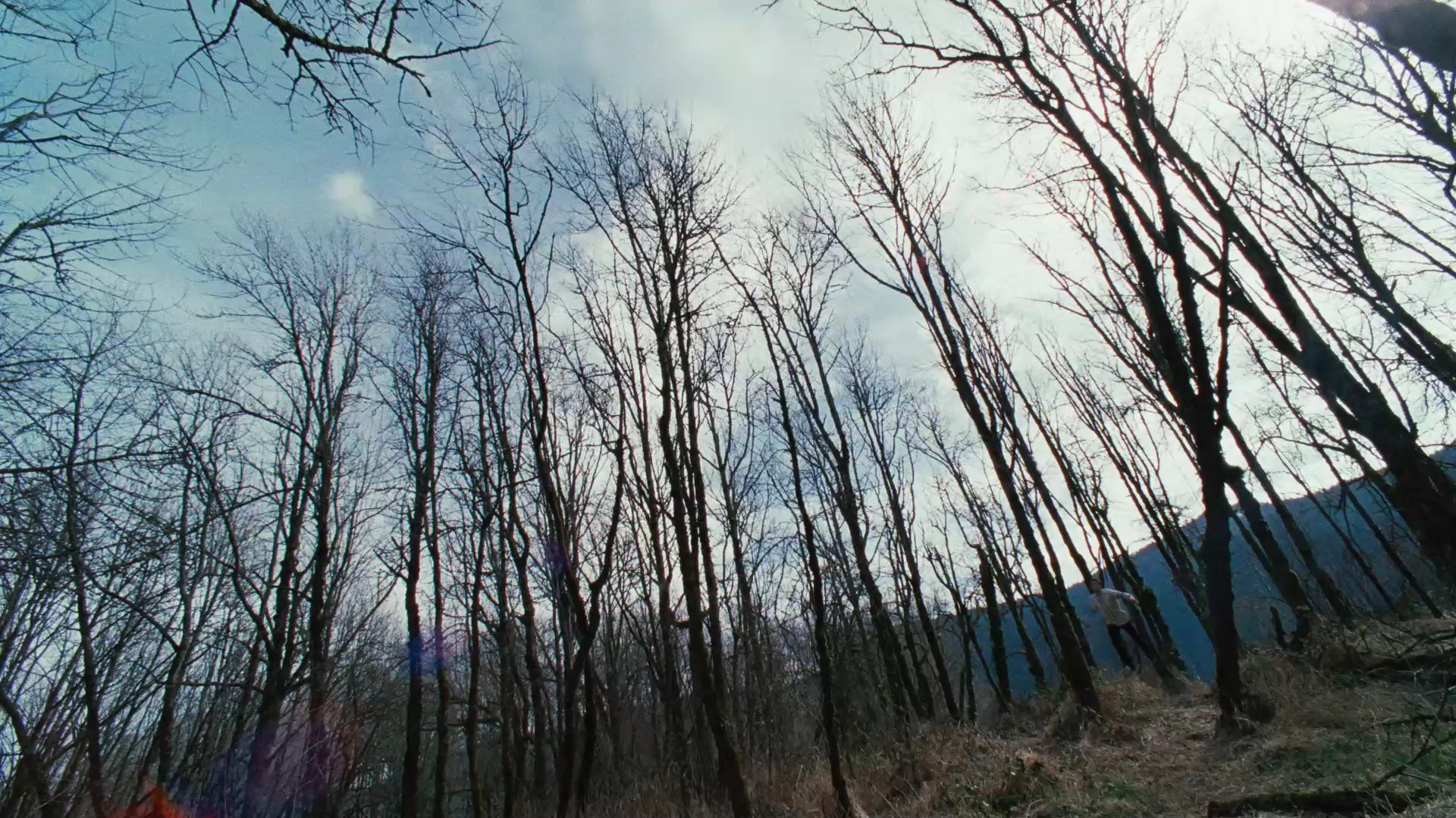 TwilightTrailer0051.jpg