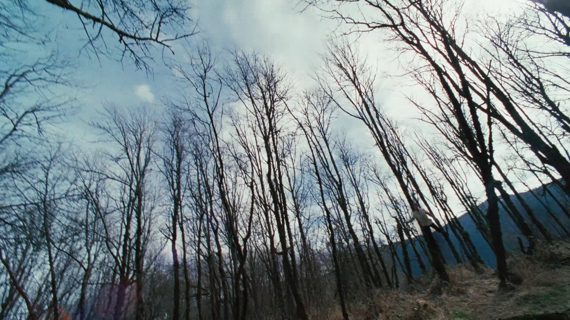 TwilightTrailer0052.jpg
