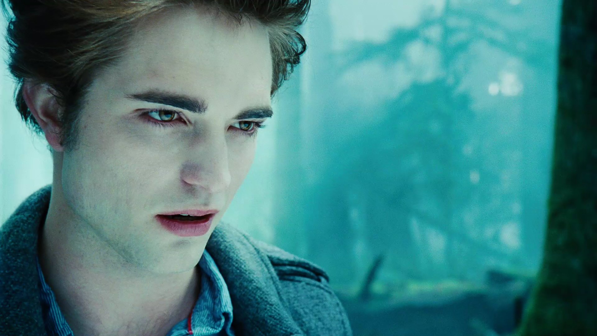 TwilightTrailer0077.jpg