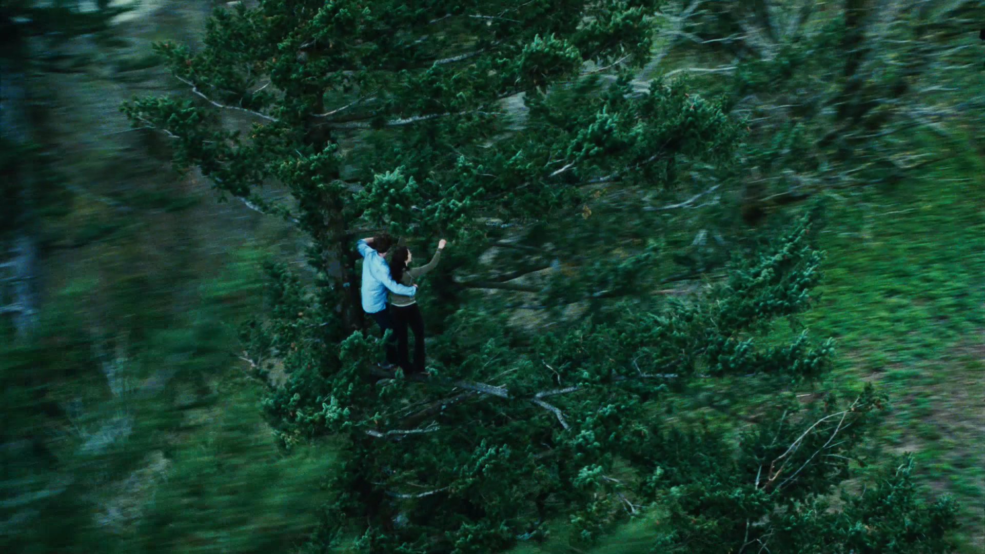 TwilightTrailer0085.jpg
