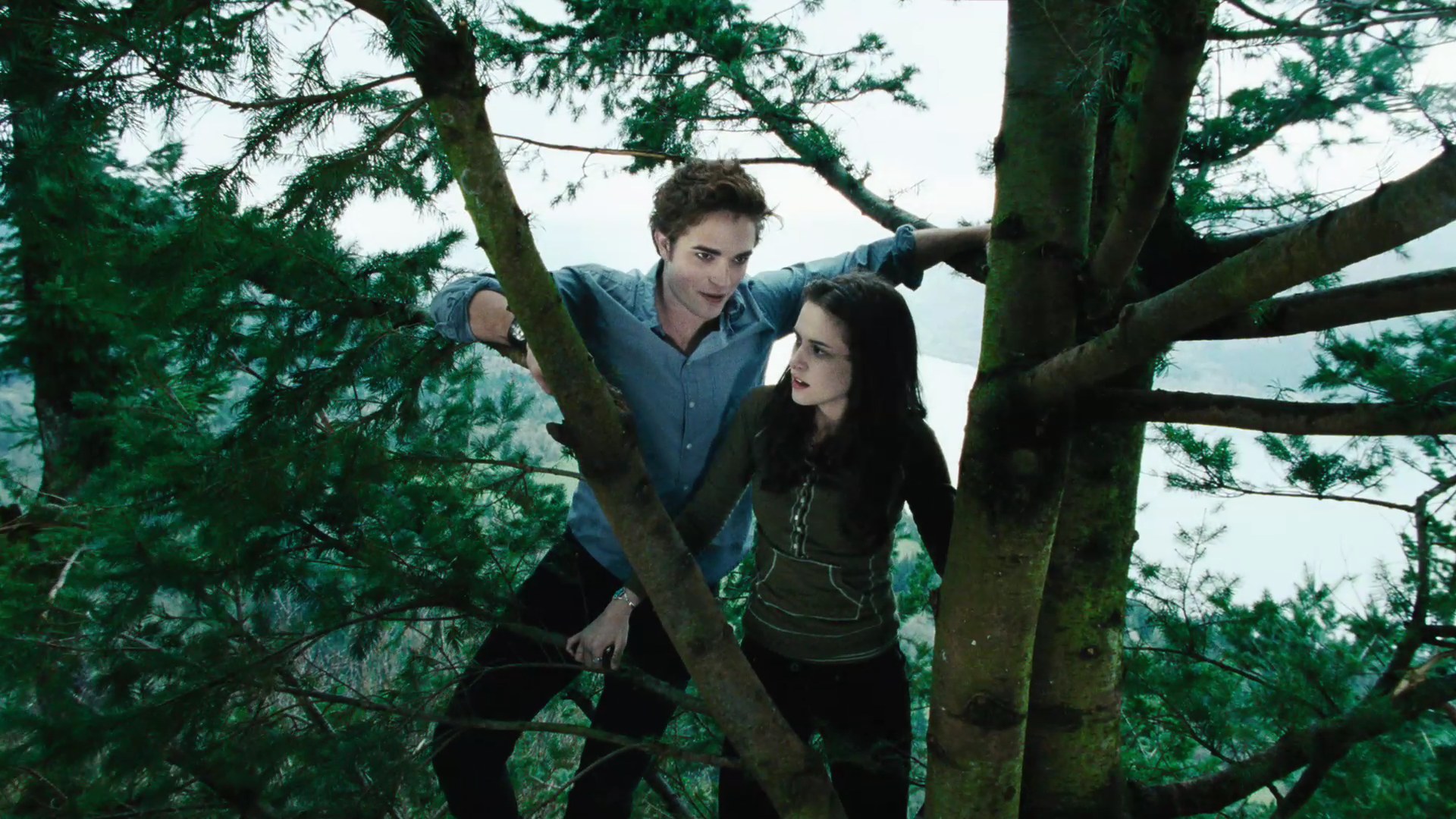 TwilightTrailer0087.jpg