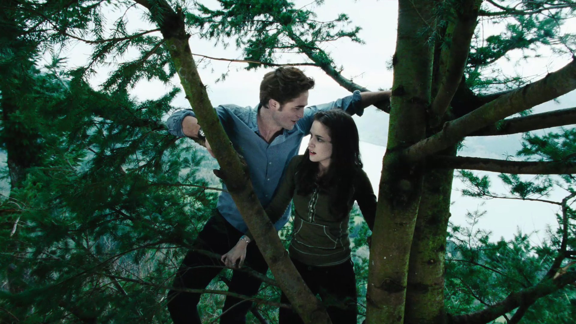 TwilightTrailer0088.jpg