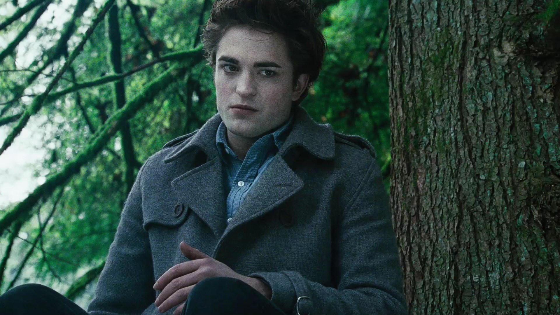 TwilightTrailer0113.jpg