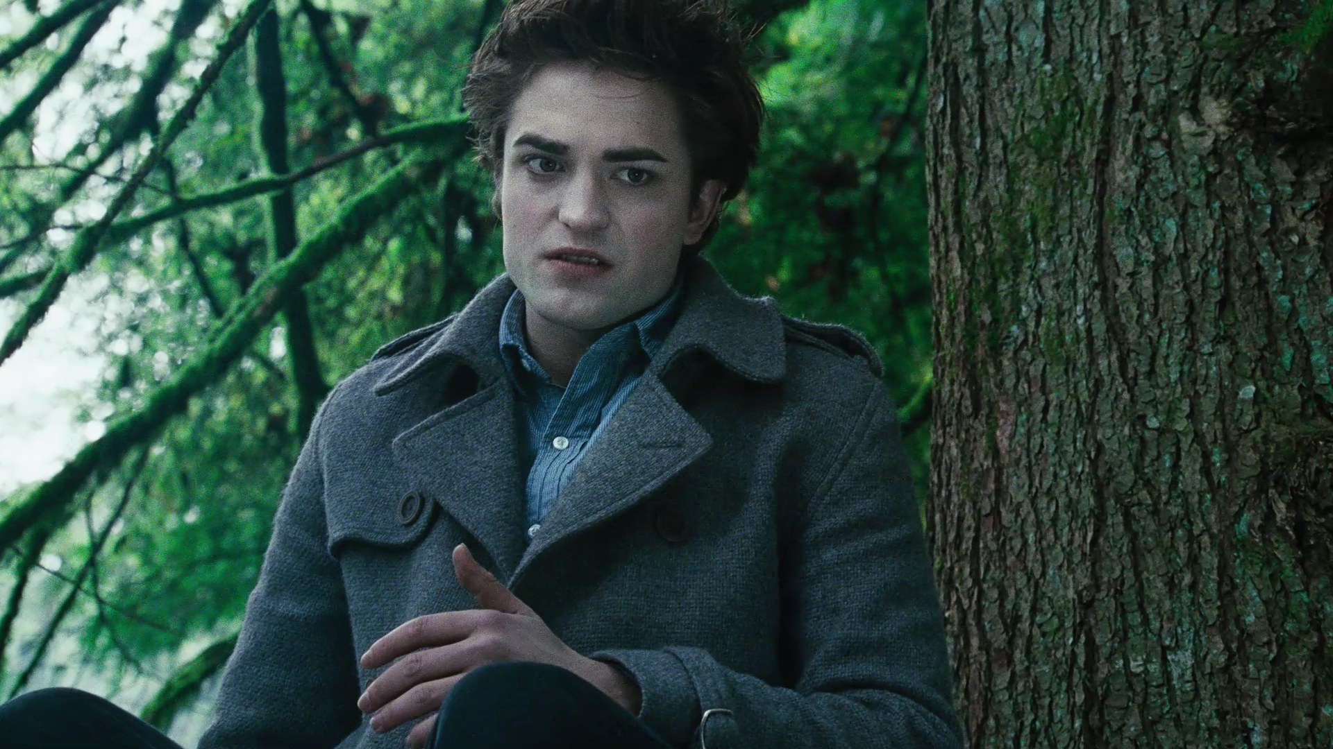 TwilightTrailer0114.jpg