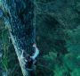 TwilightTrailer0045.jpg