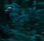TwilightTrailer0141.jpg