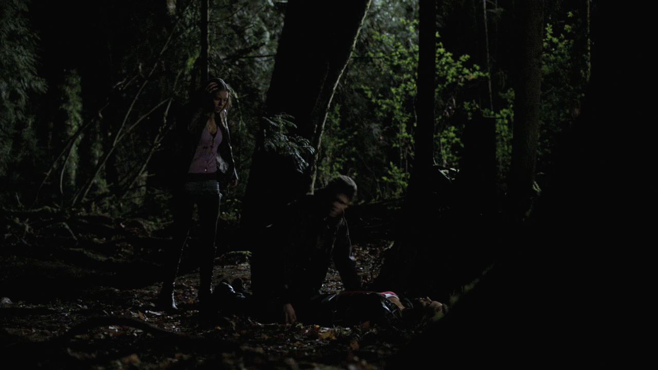 101VampireDiaries1020.jpg