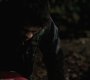 101VampireDiaries1019.jpg