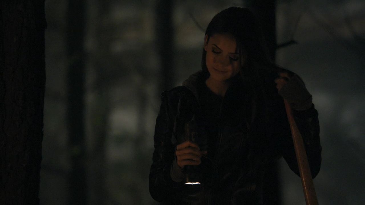 113VampireDiaries1108.jpg