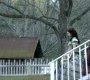 113VampireDiaries0175.jpg