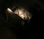Filename=113VampireDiaries1125.jpg
Filesize=67KiB
Dimensions=1280x720
Date added=Oct 01, 2021 113VampireDiaries1125.jpg